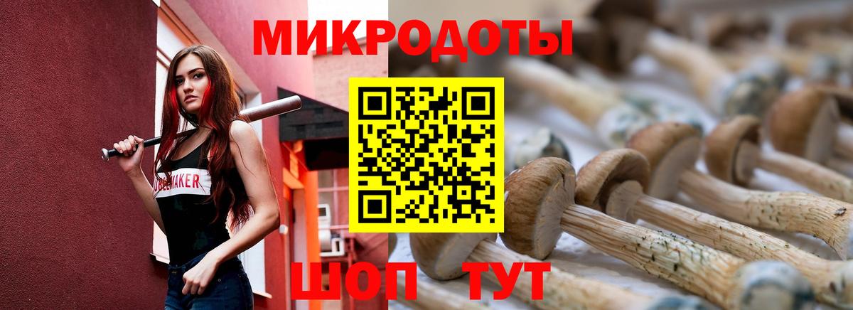 Галлюциногенные грибы Psilocybine cubensis Котовск