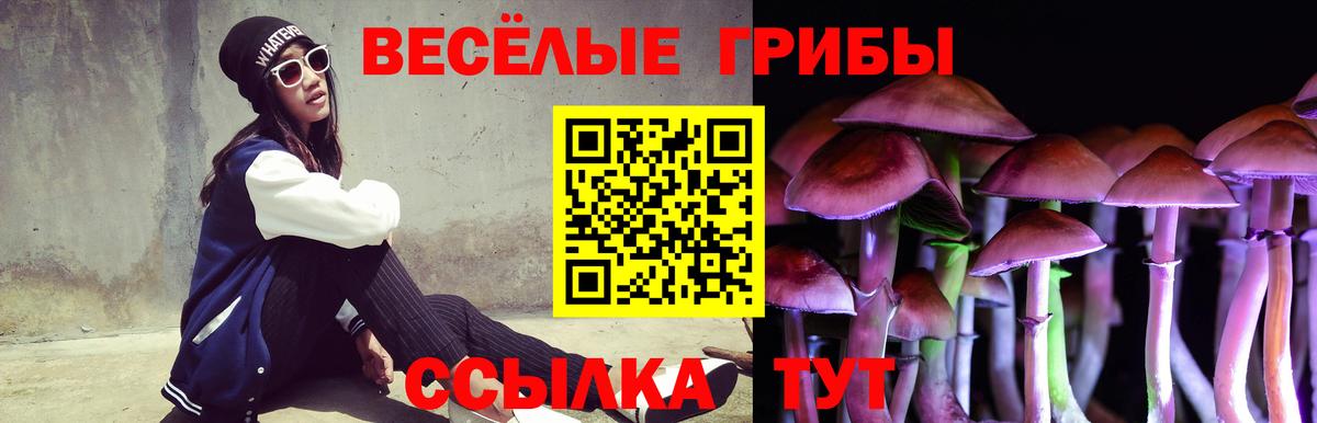 Котовск  Псилоцибиновые грибы мухоморы  Вход с VPN  где купить   Псилоцибиновые грибы MAGIC MUSHROOMS 